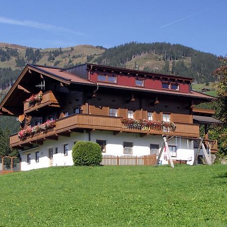 Apartment Bauernhof Thurnummerstall Hollersbach im Pinzgau Kültér fotó