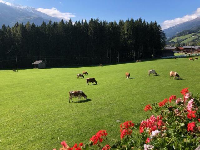 Apartment Bauernhof Thurnummerstall Hollersbach im Pinzgau Kültér fotó