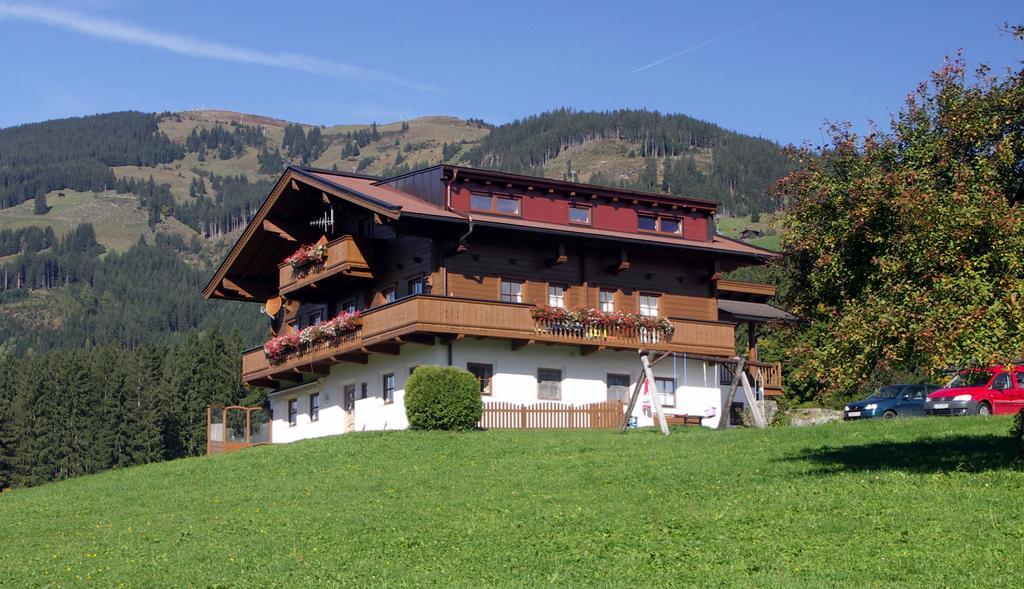 Apartment Bauernhof Thurnummerstall Hollersbach im Pinzgau Kültér fotó