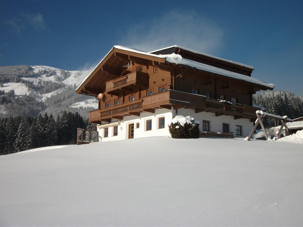 Apartment Bauernhof Thurnummerstall Hollersbach im Pinzgau Kültér fotó