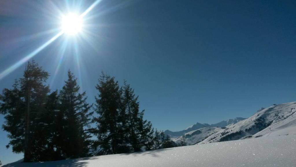 Apartment Bauernhof Thurnummerstall Hollersbach im Pinzgau Kültér fotó