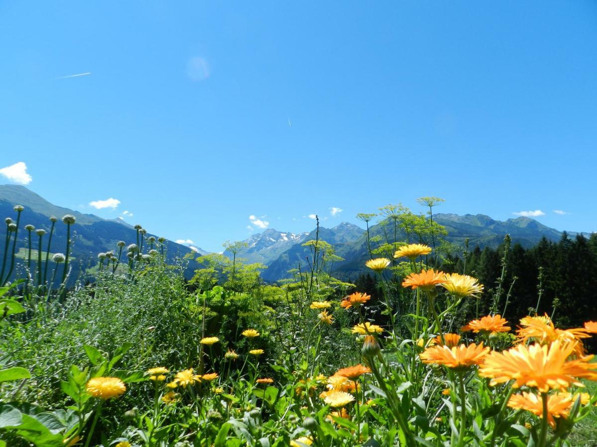 Apartment Bauernhof Thurnummerstall Hollersbach im Pinzgau Kültér fotó