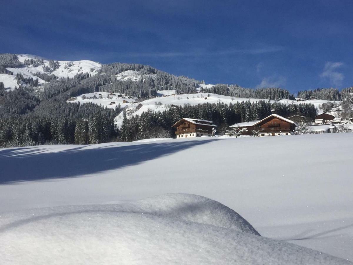 Apartment Bauernhof Thurnummerstall Hollersbach im Pinzgau Kültér fotó