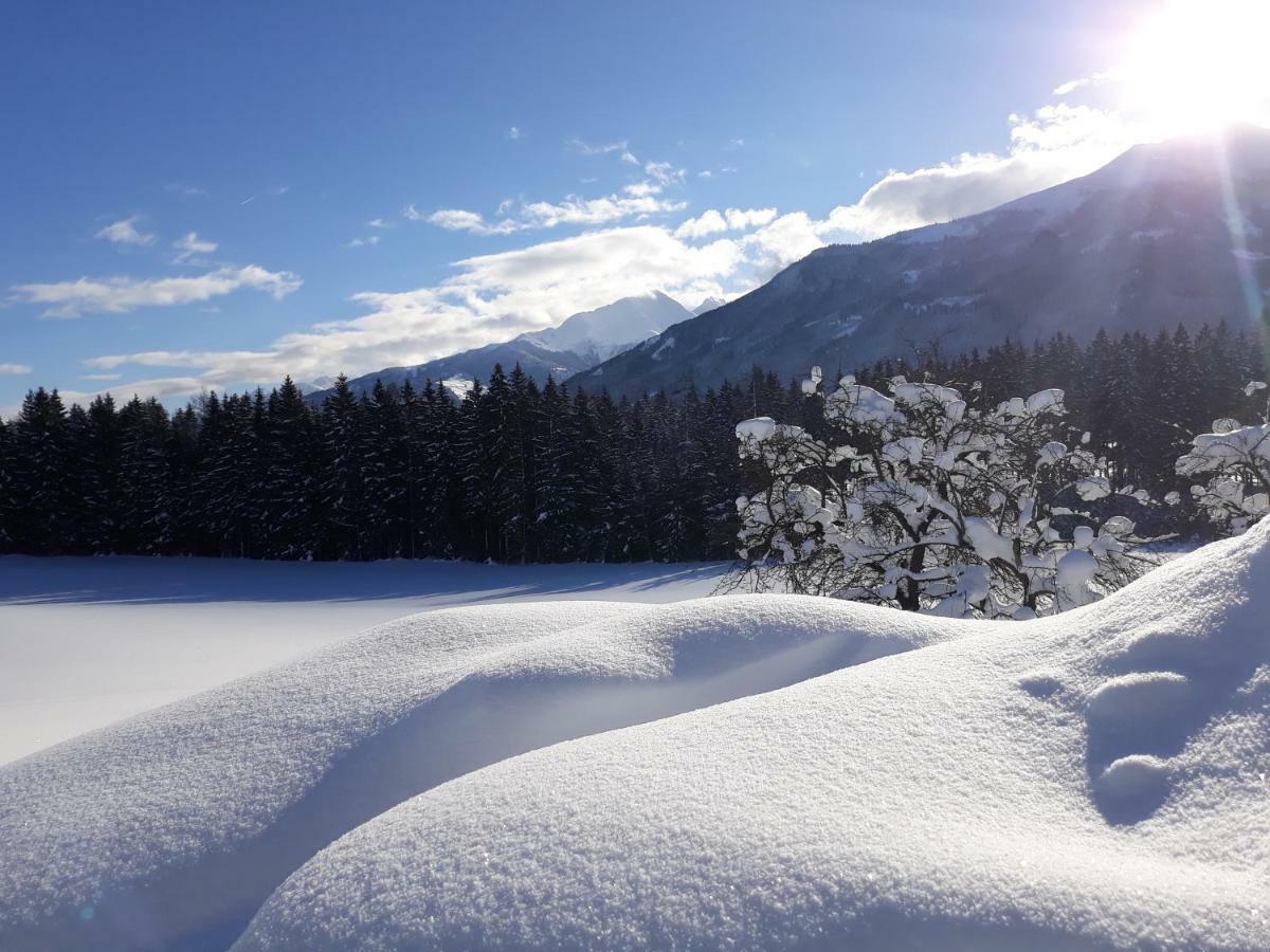 Apartment Bauernhof Thurnummerstall Hollersbach im Pinzgau Kültér fotó