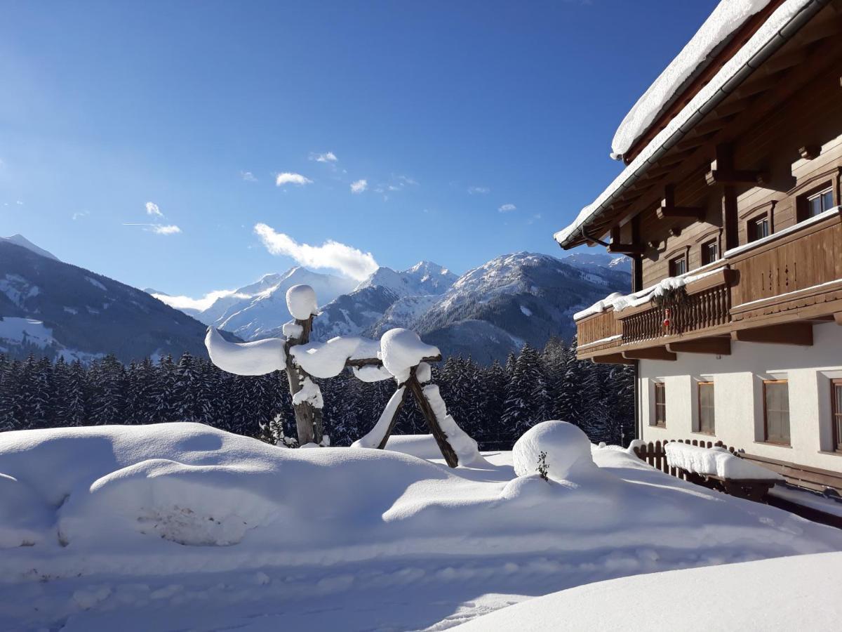 Apartment Bauernhof Thurnummerstall Hollersbach im Pinzgau Kültér fotó